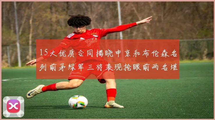 15大优质合同揭晓申京和布伦森名列前茅绿军三将表现抢眼前两名堪称传奇