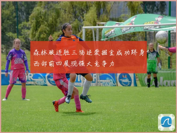森林狼连胜三场逆袭掘金成功跻身西部前四展现强大竞争力