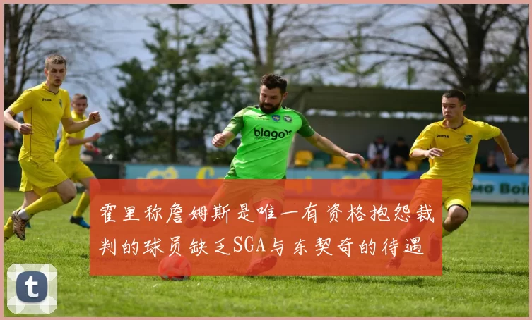 霍里称詹姆斯是唯一有资格抱怨裁判的球员缺乏SGA与东契奇的待遇