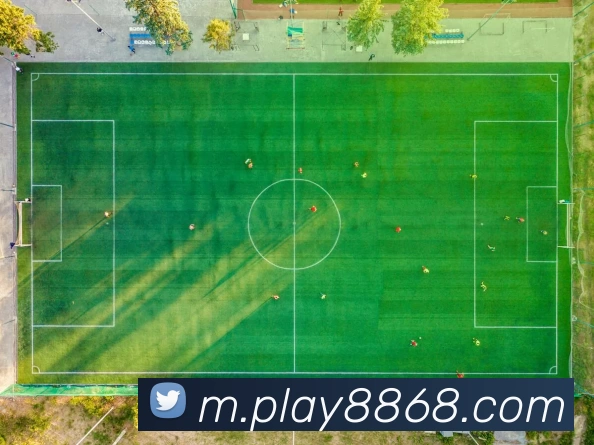 8868体育官网全站App